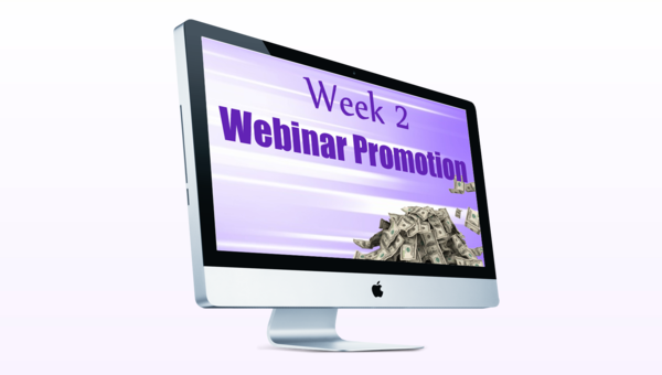 Cash In On Webinars Module 2